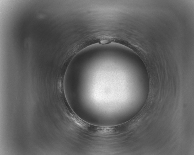 X0000071950288200607141507