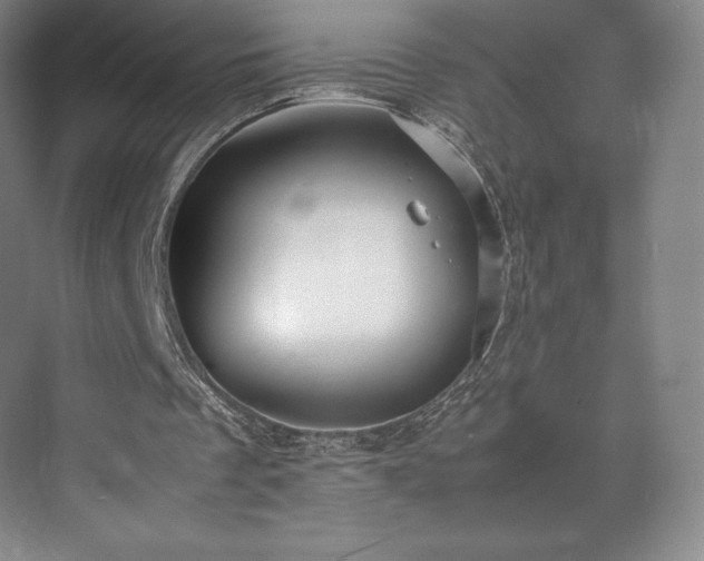 X0000071950289200607141506