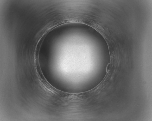 X0000071950290200607141506