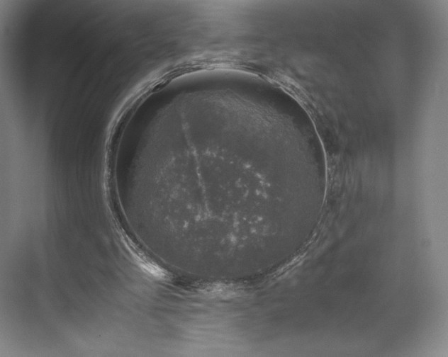 X0000071950293200607141506