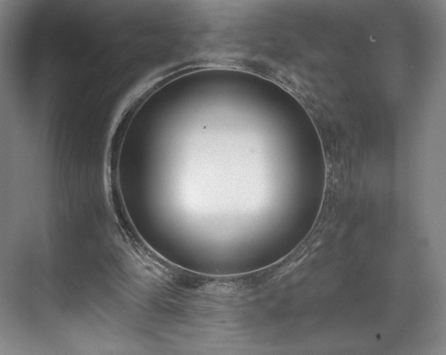 X0000071950294200607141506