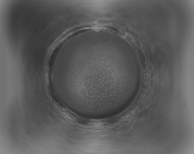 X0000071950295200607141506