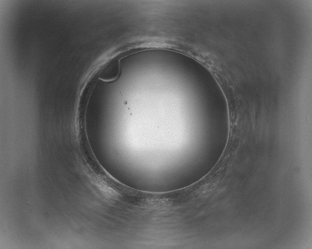 X0000071950296200607141506