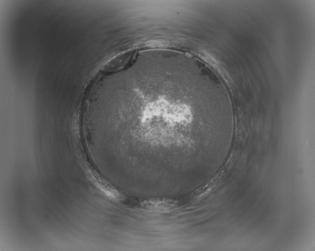 X0000071950297200607141506