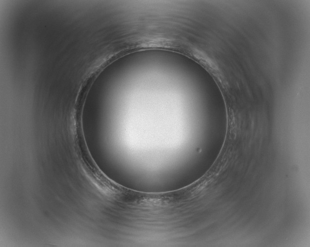 X0000071950298200607141506