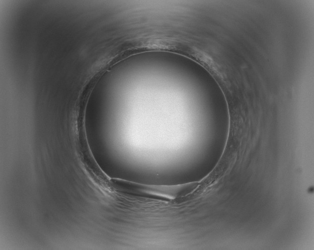 X0000071950299200607141506