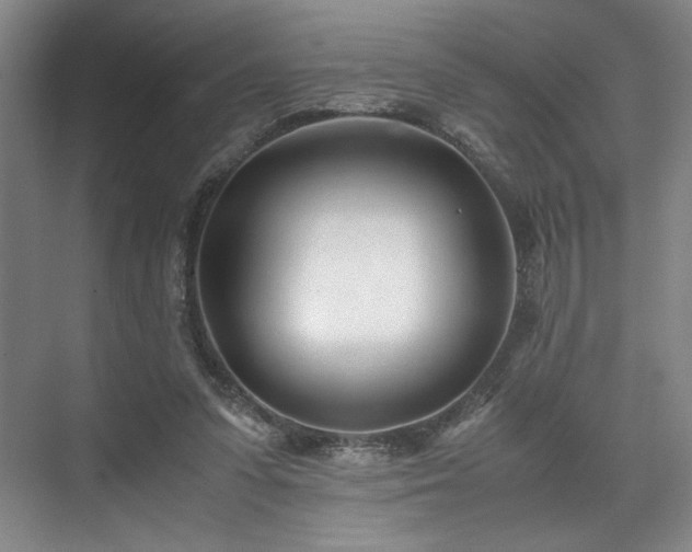 X0000071950303200607141506