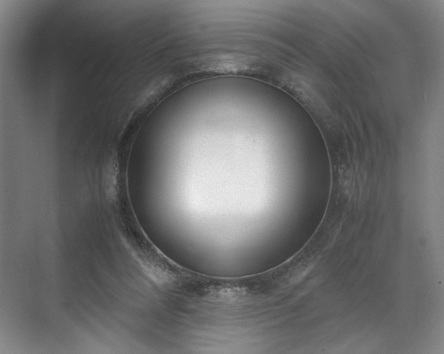 X0000071950304200607141506