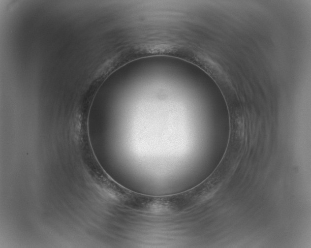 X0000071950308200607141506