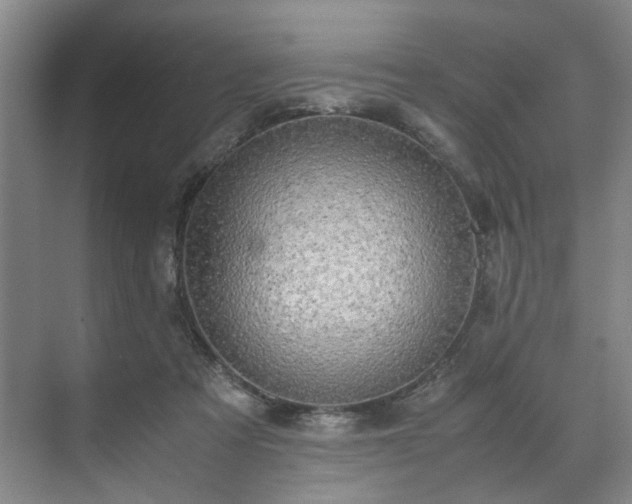 X0000071950313200607141506