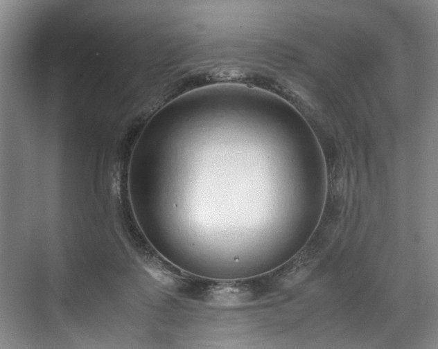 X0000071950315200607141506