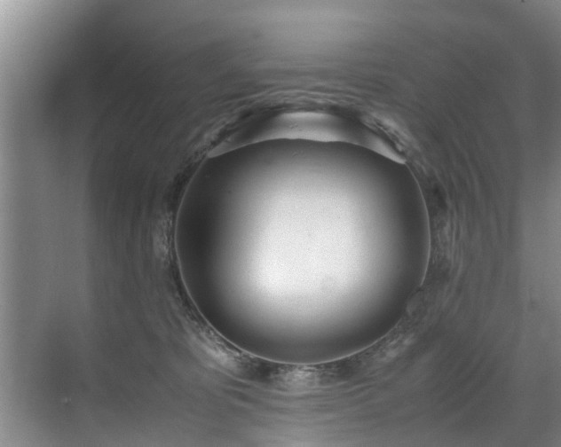 X0000071950325200607141505