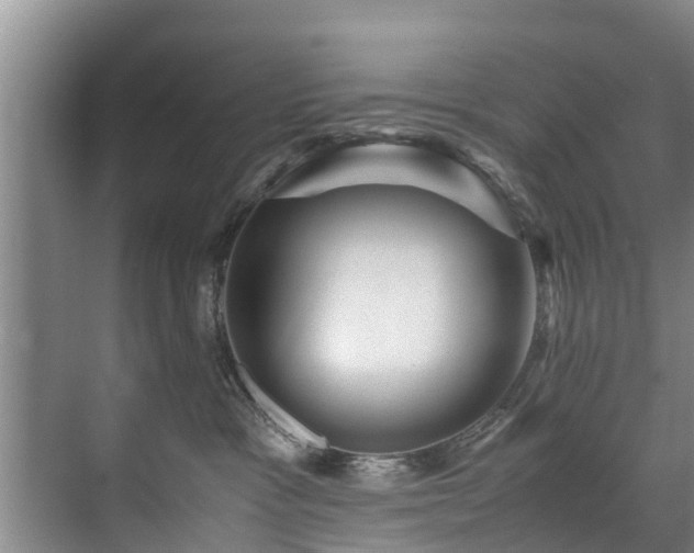 X0000071950333200607141505