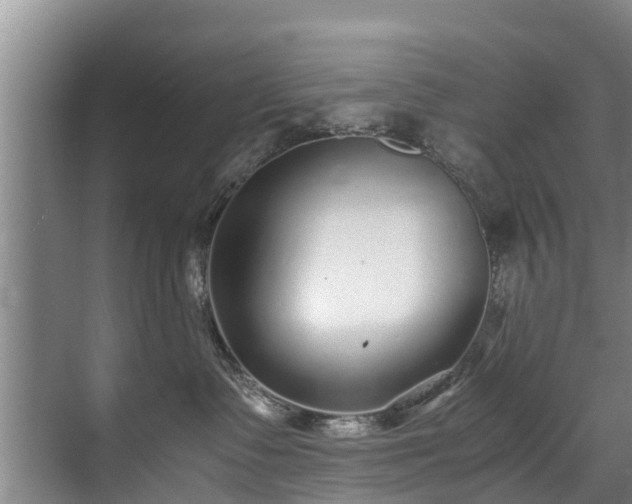 X0000071950335200607141505