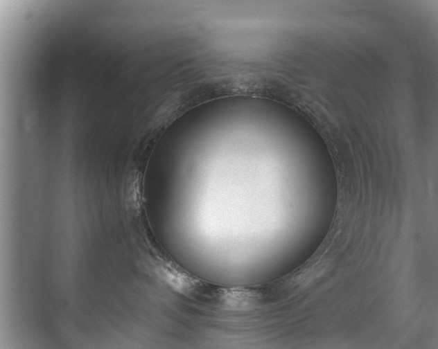 X0000071950336200607141505