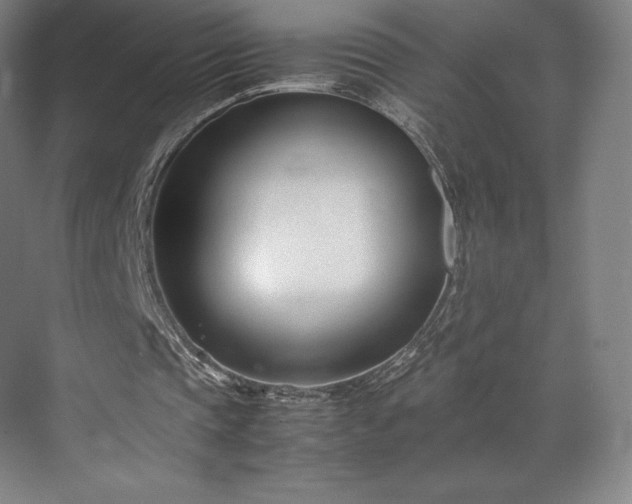 X0000071950337200607141504