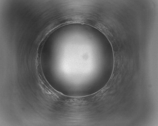 X0000071950338200607141504