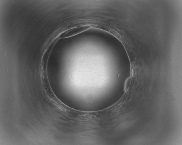 X0000071950339200607141504