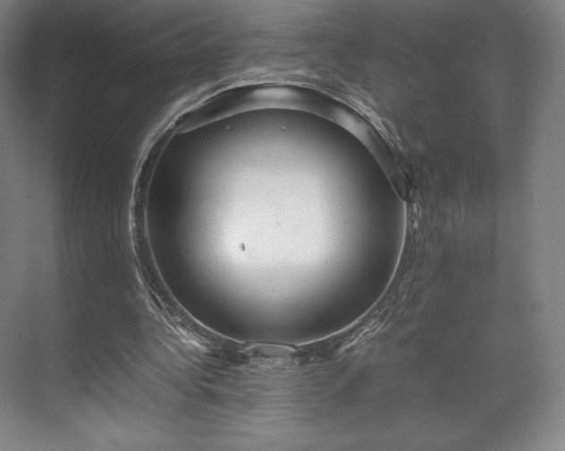 X0000071950340200607141504