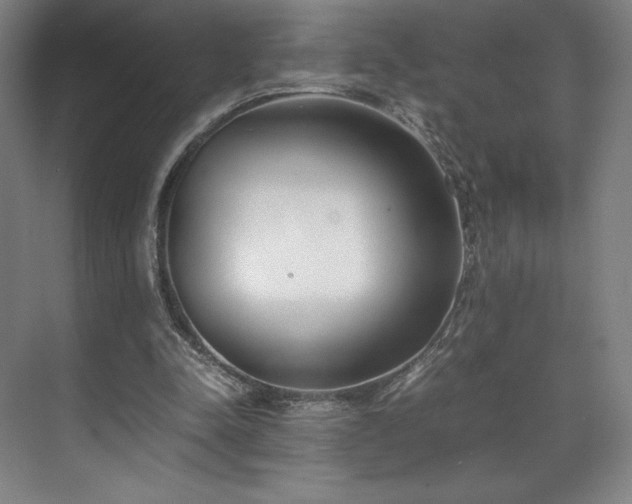 X0000071950342200607141504