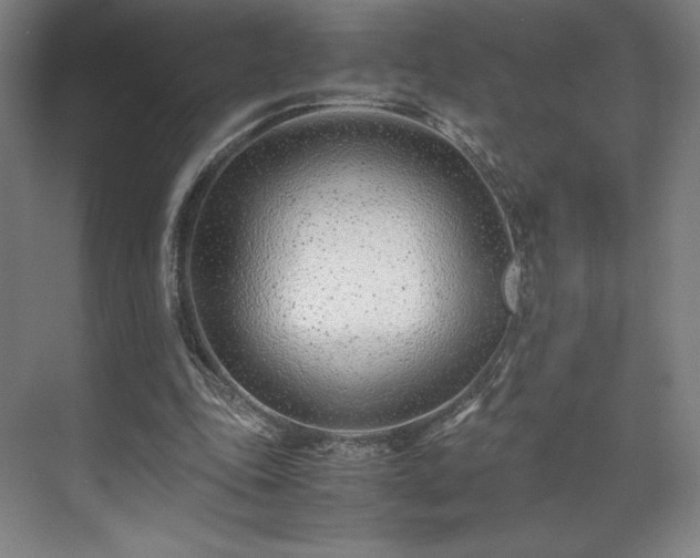 X0000071950343200607141504