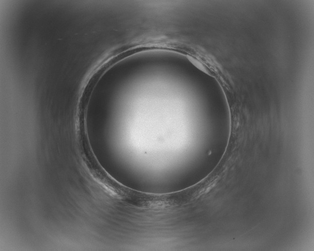 X0000071950344200607141505