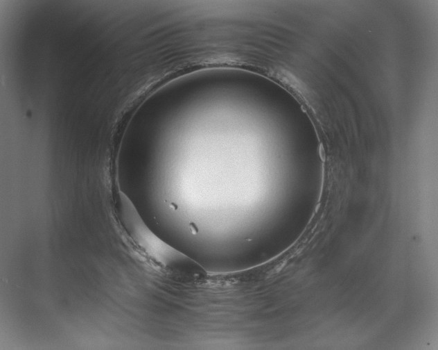 X0000071950345200607141505