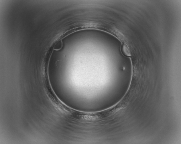 X0000071950347200607141505