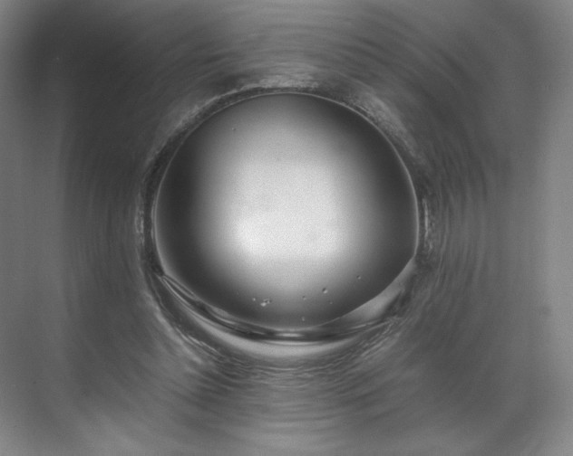 X0000071950348200607141505