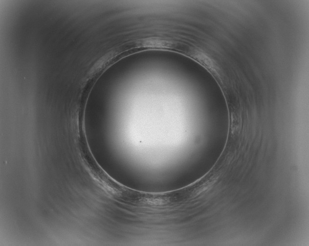 X0000071950349200607141505