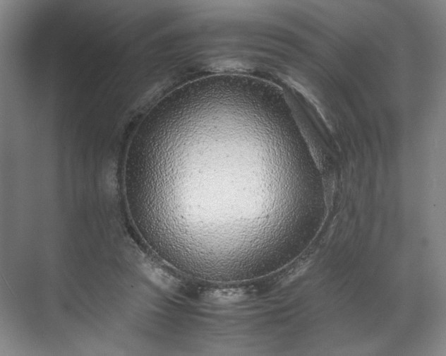 X0000071950353200607141505