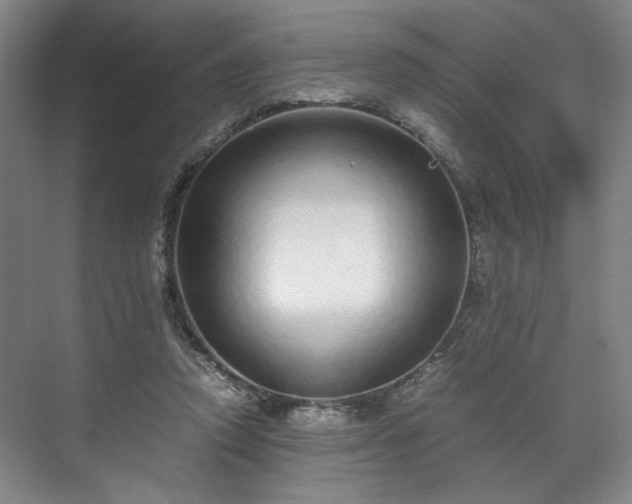 X0000071950354200607141505