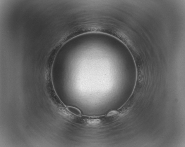 X0000071950355200607141505