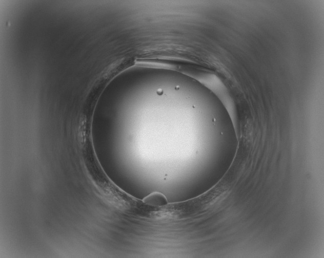 X0000071950356200607141505