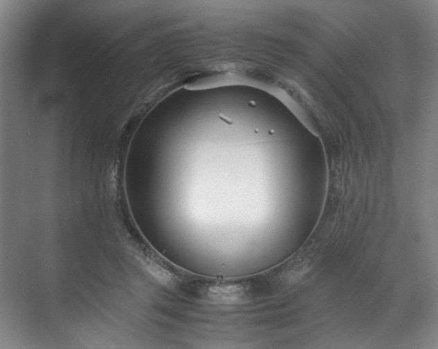 X0000071950357200607141505