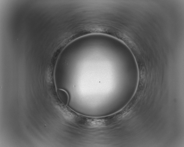 X0000071950359200607141505