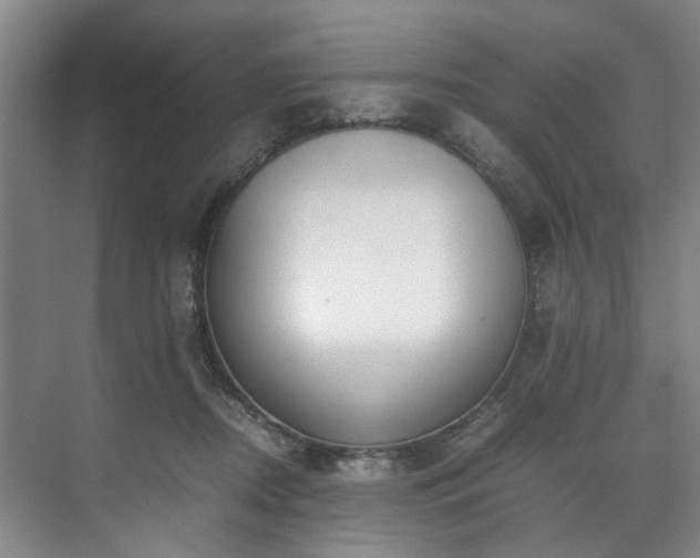 X0000071950362200607141505