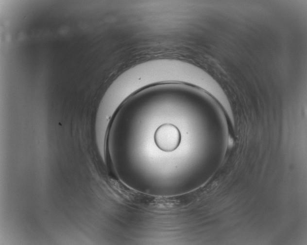 X0000071950368200607141505