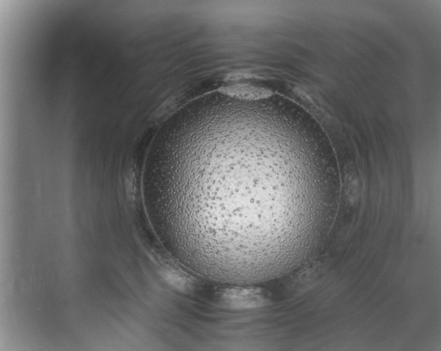 X0000071950375200607141505