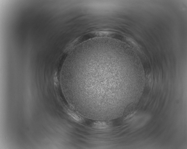 X0000071950381200607141505