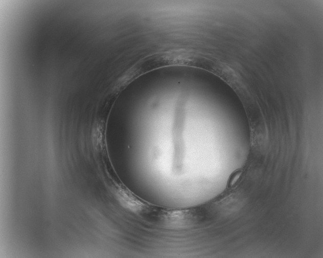 X0000071950382200607141505