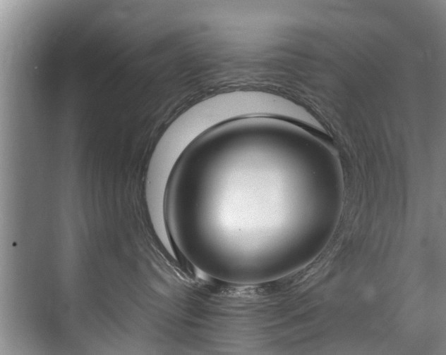 X0000071950384200607141505