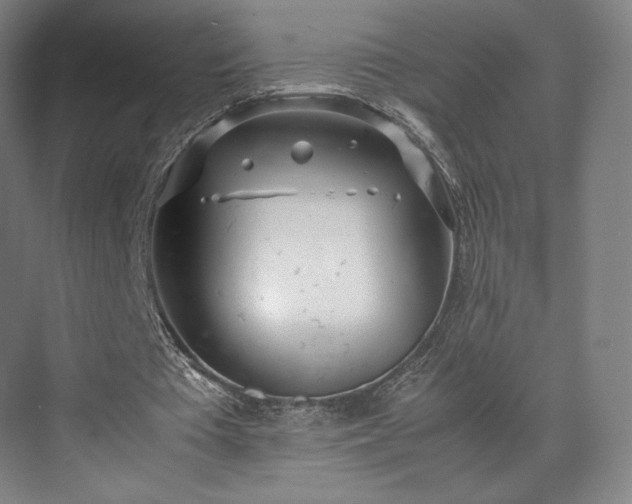 X0000071950385200607141504