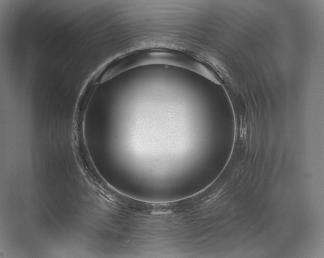 X0000071950388200607141504