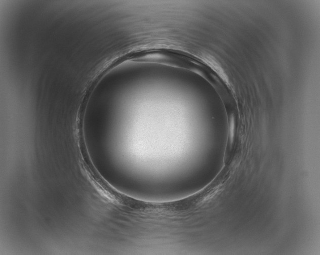 X0000071950389200607141504