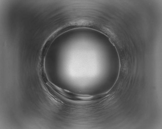 X0000071950392200607141504