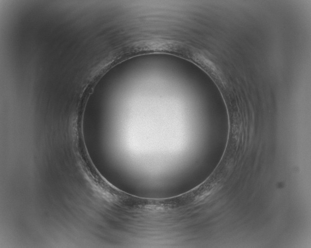 X0000071950394200607141504