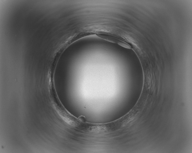 X0000071950398200607141504