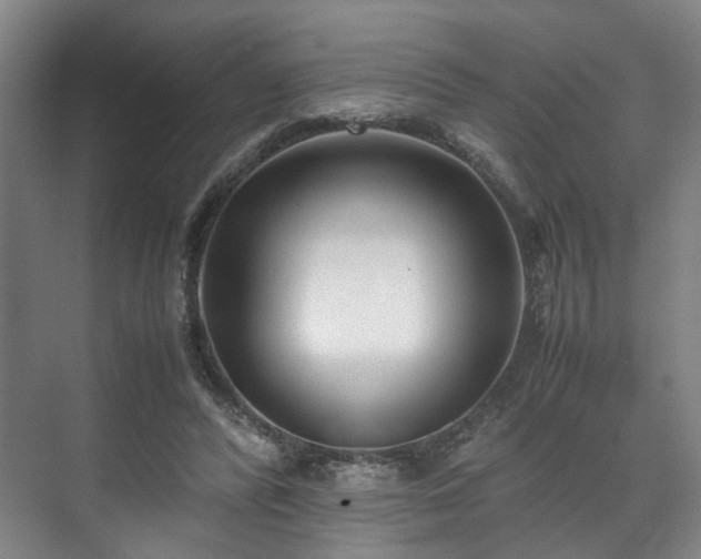 X0000071950400200607141504