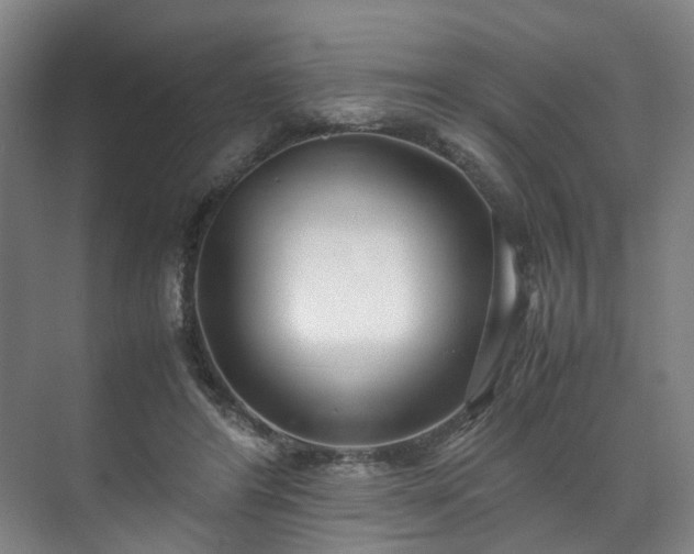 X0000071950404200607141504